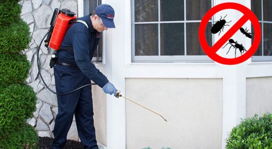 Başakşehir Kemirgen İlaçlama böcek ilaçlama ve haşere kontrolü — ilaclama-tr.com